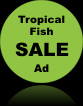 See Our Tropical Fish Sale Ad