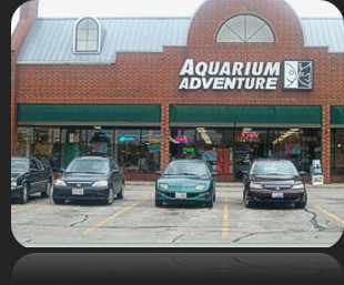 Aquarium Adventure Cleveland, Ohio
