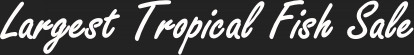 Largest Tropical Fish Sale