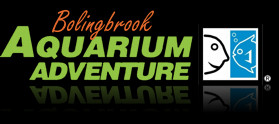 Aquarium Adventure Logo