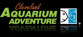 Aquarium Adventure Logo