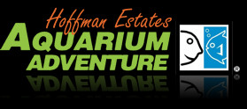 Aquarium Adventure Logo