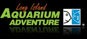 Aquarium Adventure Logo