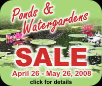 Ponds & Watergardens Sale