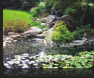 Water Gardens