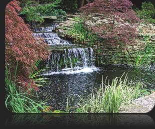 Garden Ponds