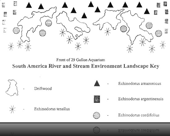 New Tank Water Conditions - Understanding the Nitrogen Cycle