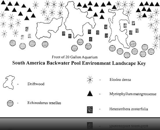 New Tank Water Conditions - Understanding the Nitrogen Cycle