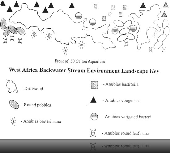 New Tank Water Conditions - Understanding the Nitrogen Cycle