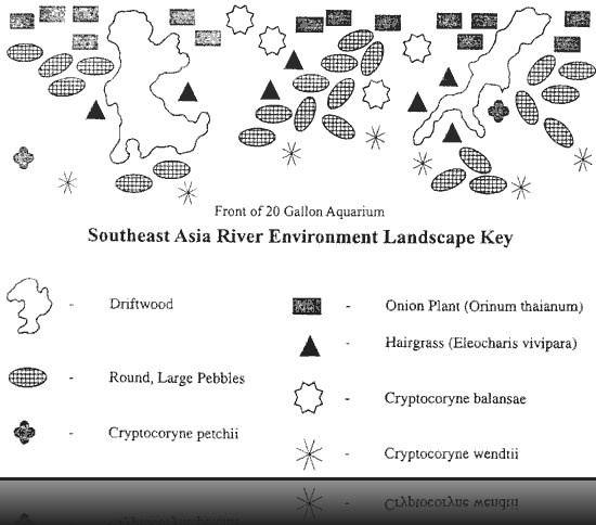 New Tank Water Conditions - Understanding the Nitrogen Cycle