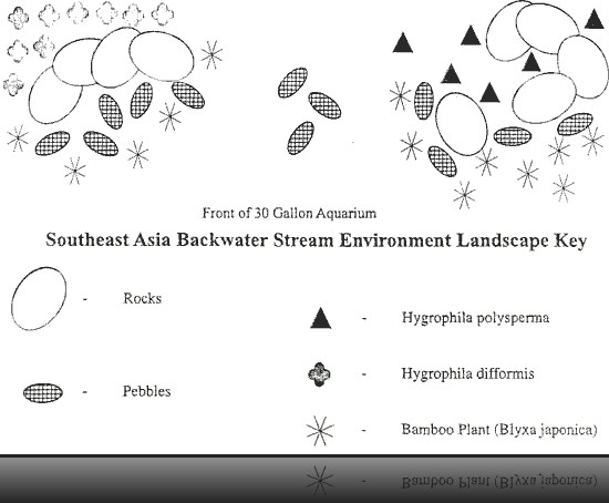 New Tank Water Conditions - Understanding the Nitrogen Cycle