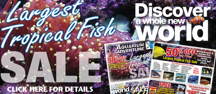 Largest Tropical Fish Sale
