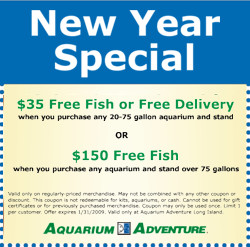 Special Sales & Coupons