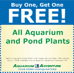 Special Sales & Coupons