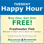 Special Sales & Coupons