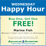 Special Sales & Coupons