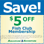 Special Coupon