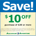 Special Coupon