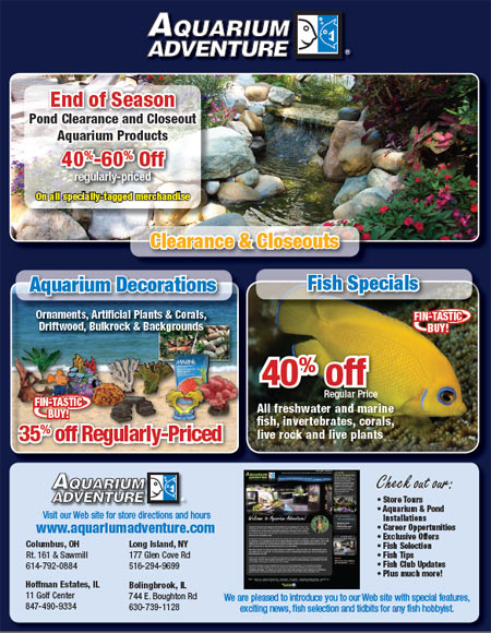 Discover the savings!