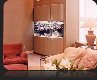 Residential Aquarium Installations