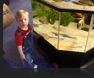 Careers at Aquarium Adventure